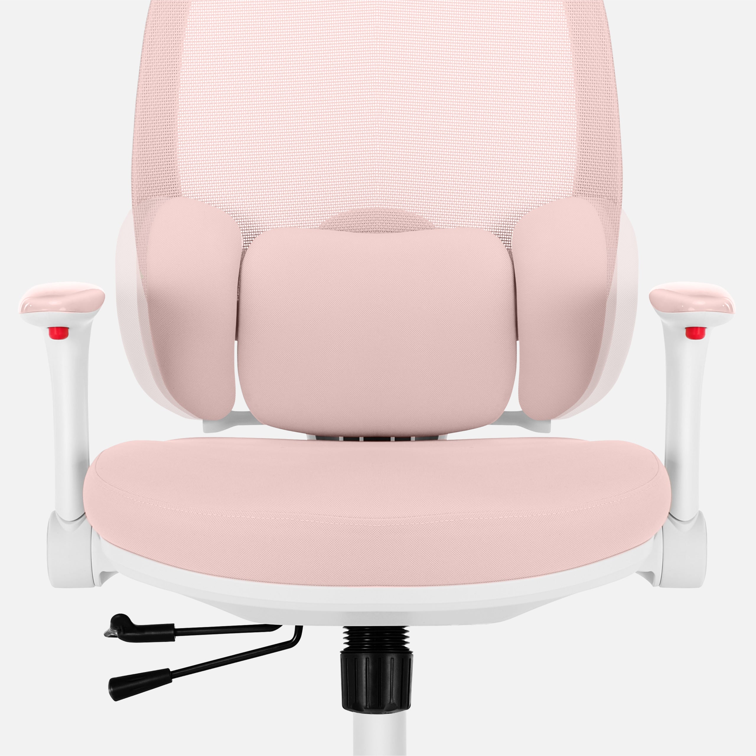 Respaldo ergonómico: para una columna vertebral sana