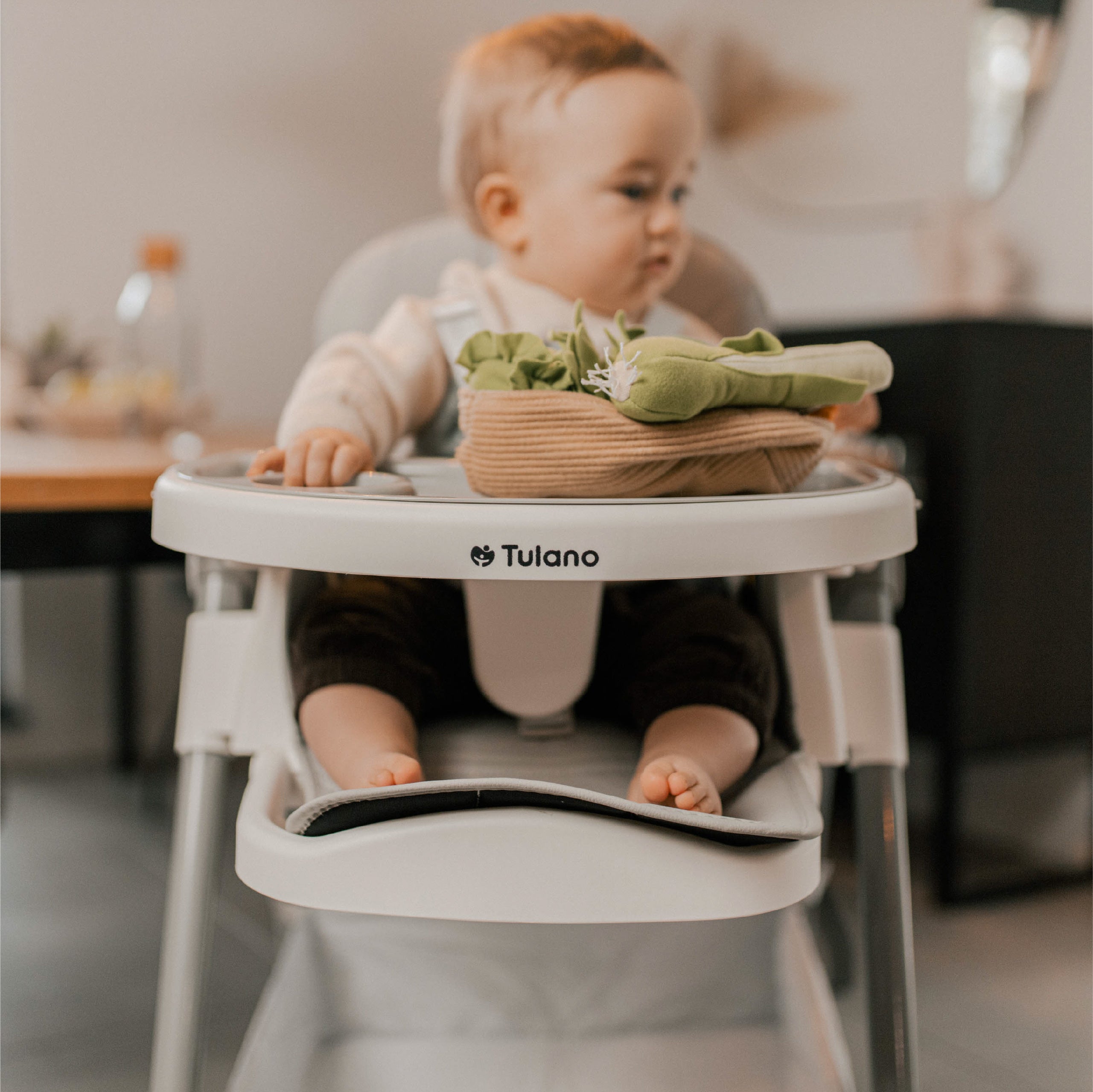 Trona plegable Tulano Morsel 30